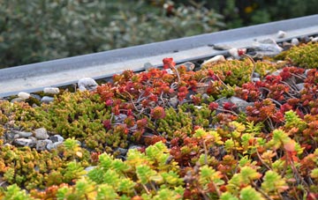 the cost of Draycott green roof installation