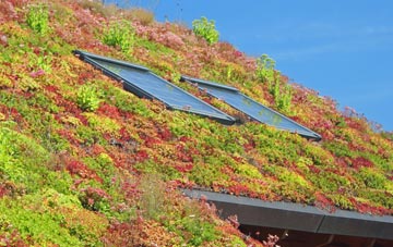 Draycott living roof systems